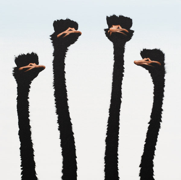 Four Ostriches on Sunrise