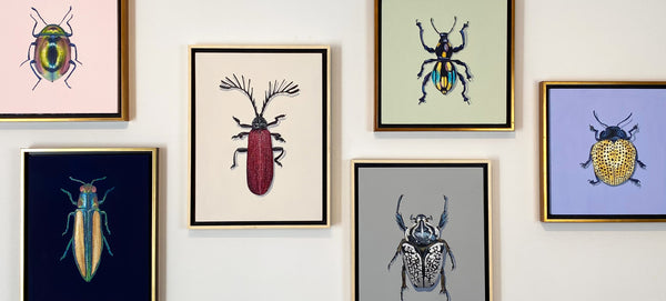The Crawlers Collection | Charlotte Fraser