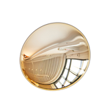 Portal, Amber