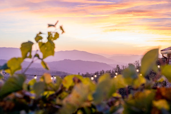 Italian Sunset