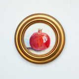 Still Life of a Pomegranate
