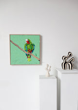 Cuban Amazon Parrot