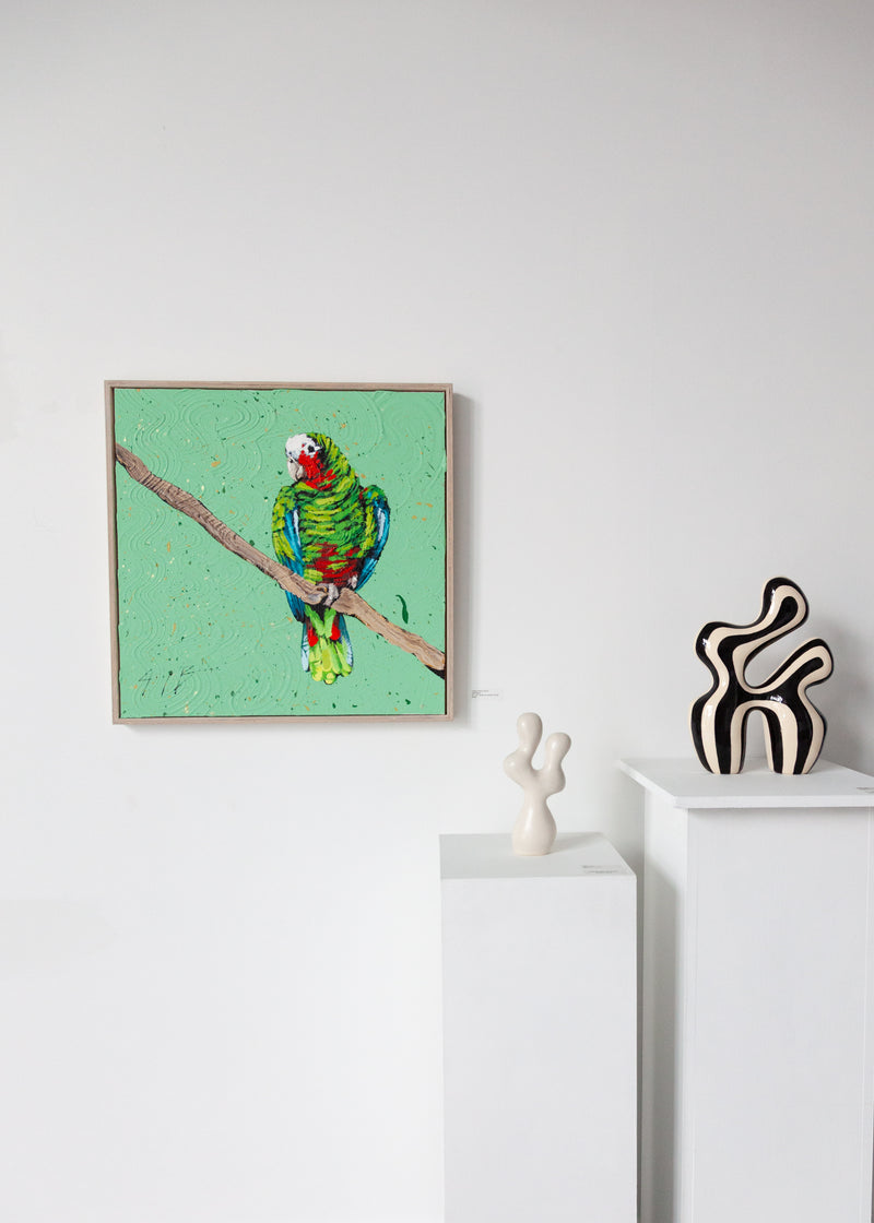Cuban Amazon Parrot