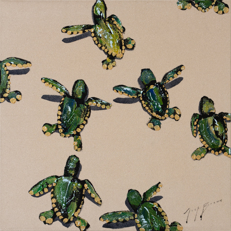 Turtles on Glittery Sand