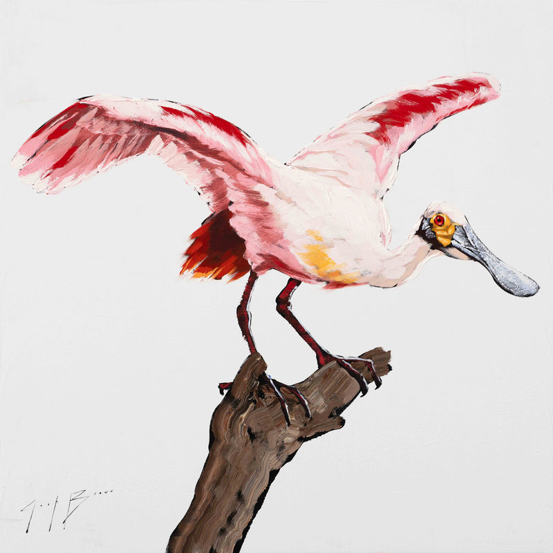 Spoonbill