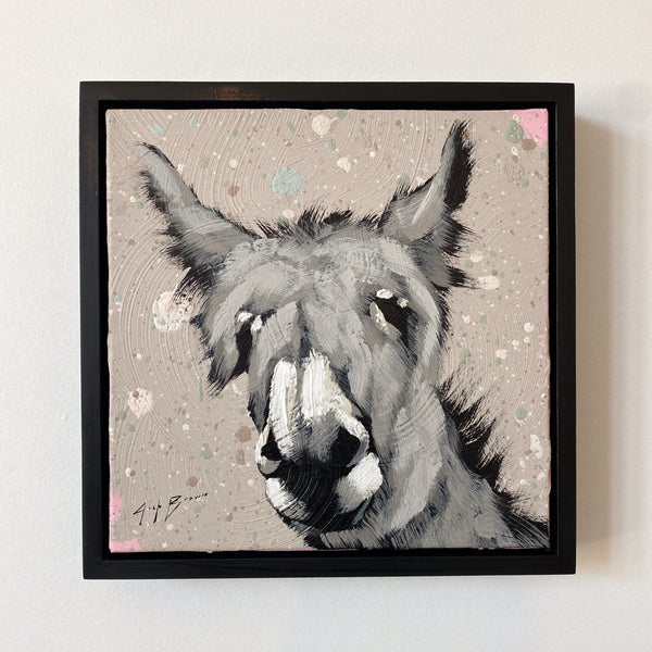 Grey Donkey On Grey Spray