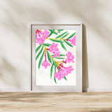 Oleander Print