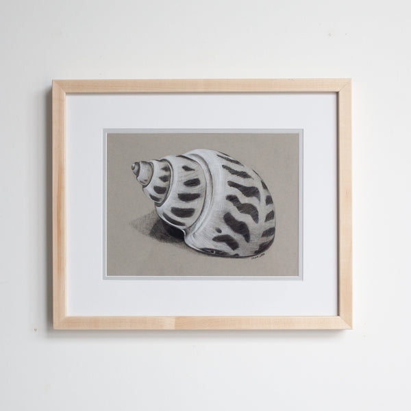 Babylon Shell