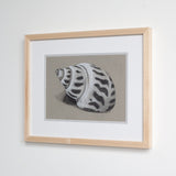 Babylon Shell