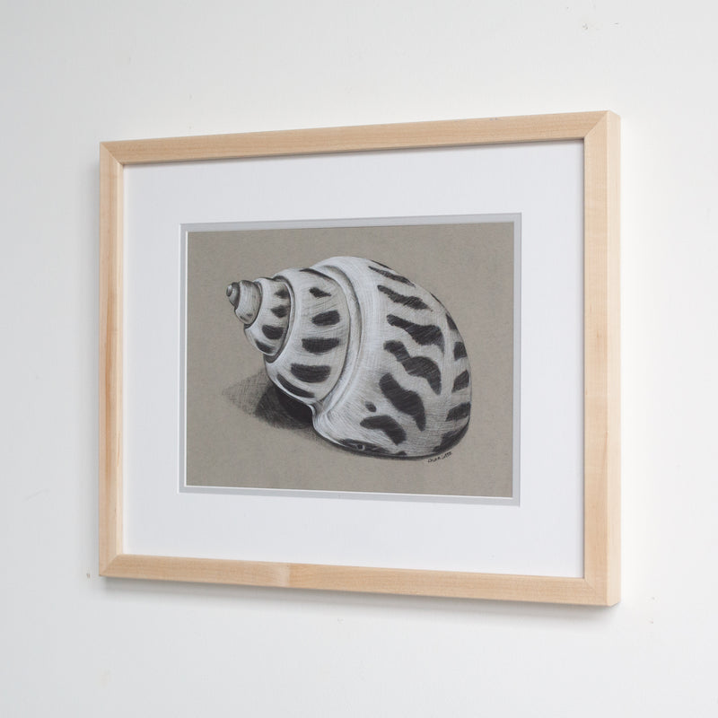 Babylon Shell