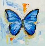 Blue Morpho