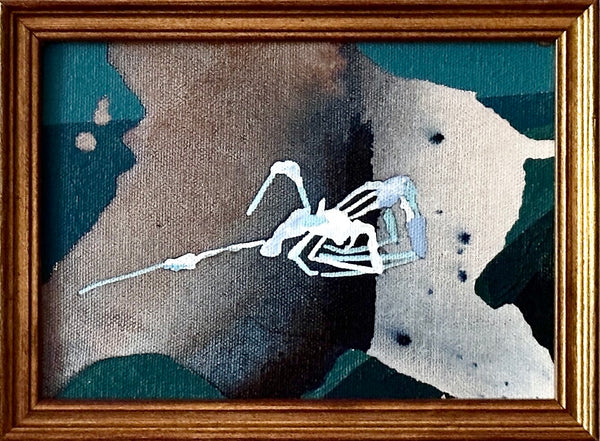 Blue Spider