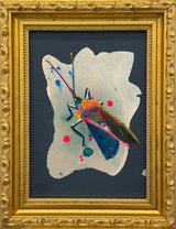 Blue Stink Bug