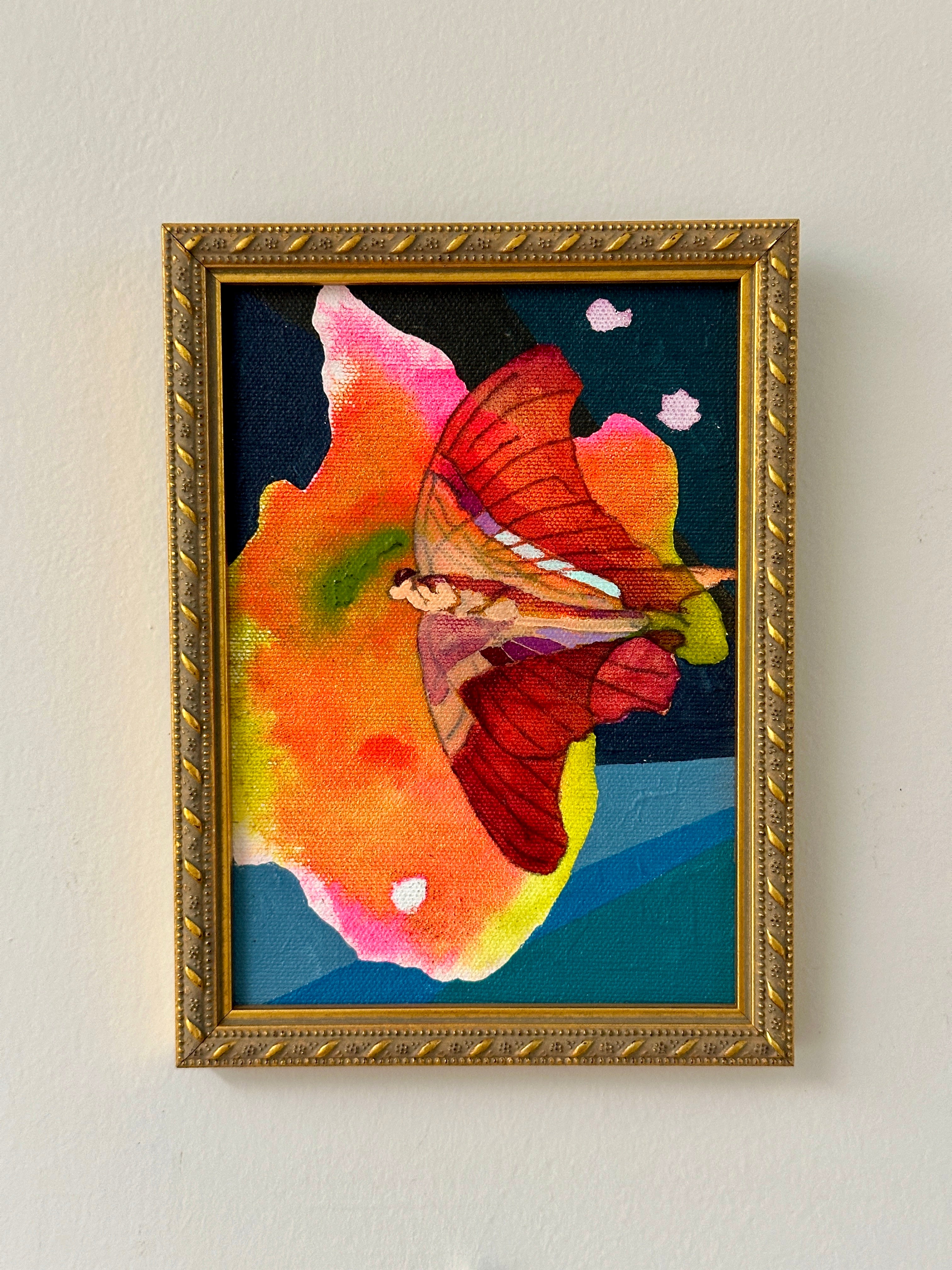 Carmine Butterfly by Kate Hooray Osmond – The Miller Gallery