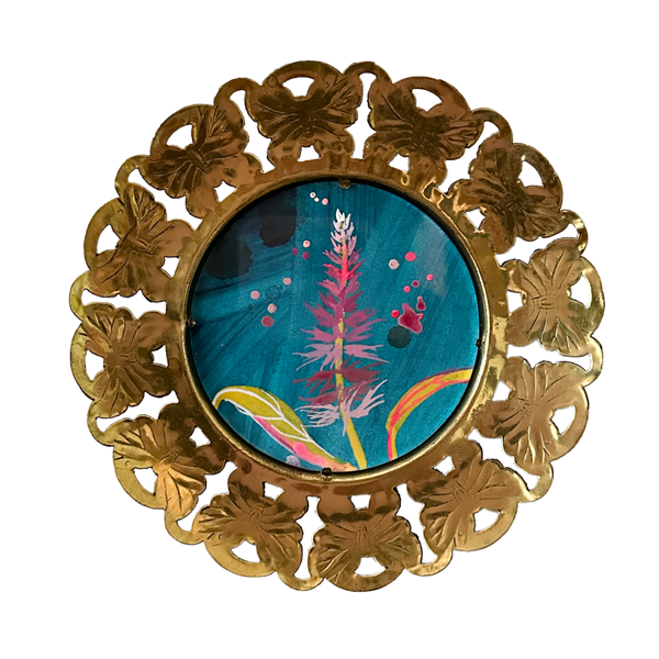 Celosia