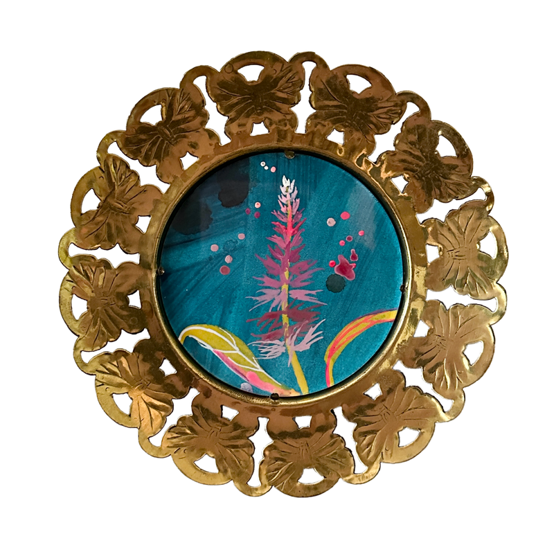 Celosia