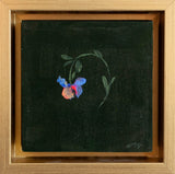 Cornflower
