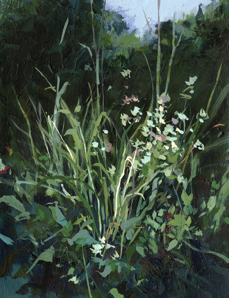 Dark Study 3a