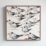 Diagonal Beach Birds