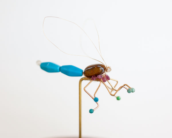 Dragonfly Jewel Bug