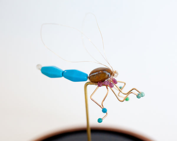 Dragonfly Jewel Bug