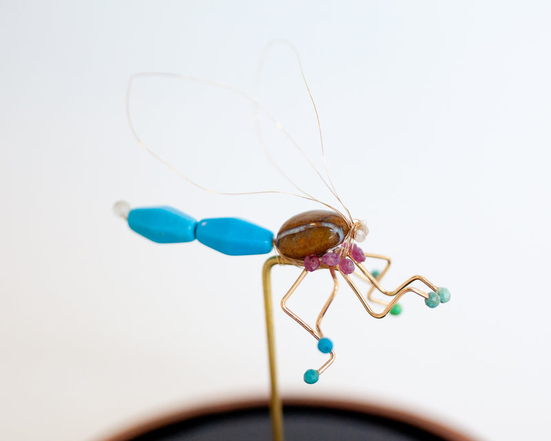 Dragonfly Jewel Bug