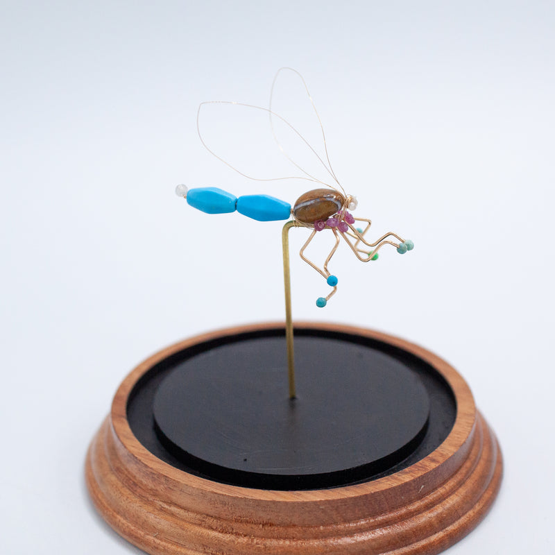 Dragonfly Jewel Bug