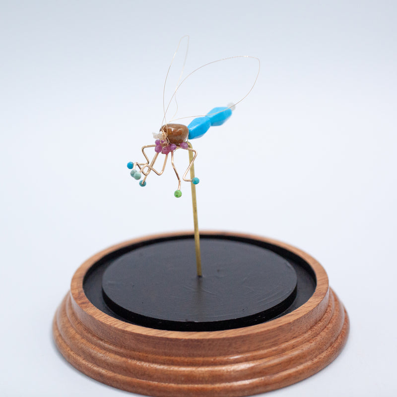 Dragonfly Jewel Bug