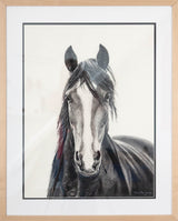 Shadowfax