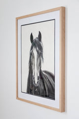 Shadowfax