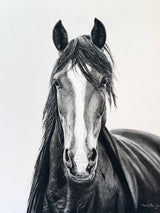 Shadowfax