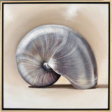 The Nautilus