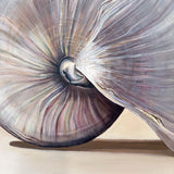 The Nautilus