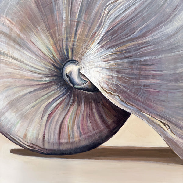 The Nautilus