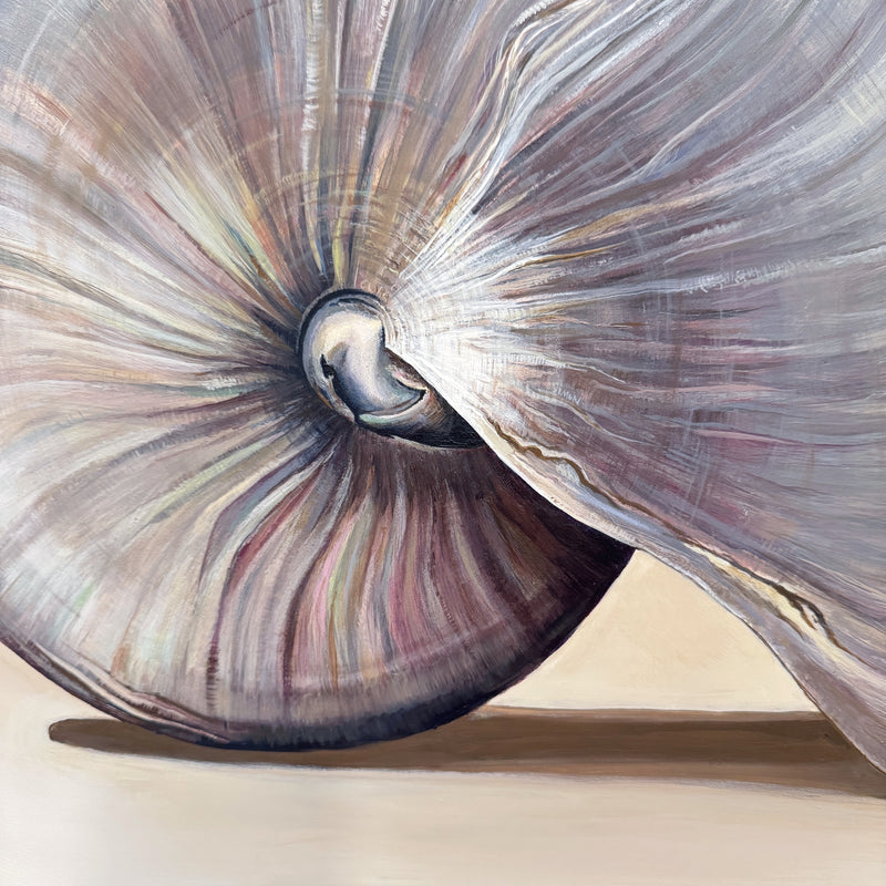 The Nautilus