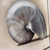 The Nautilus