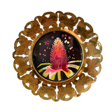 Giant Coneflower