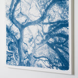 Grand Oak