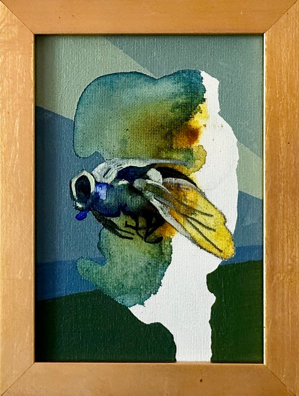 Green Fly