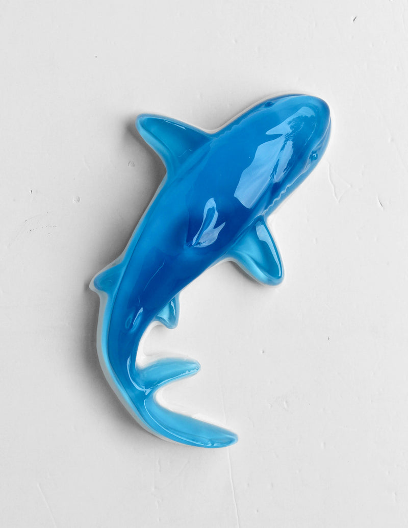 Gummy Shark in Light Blue