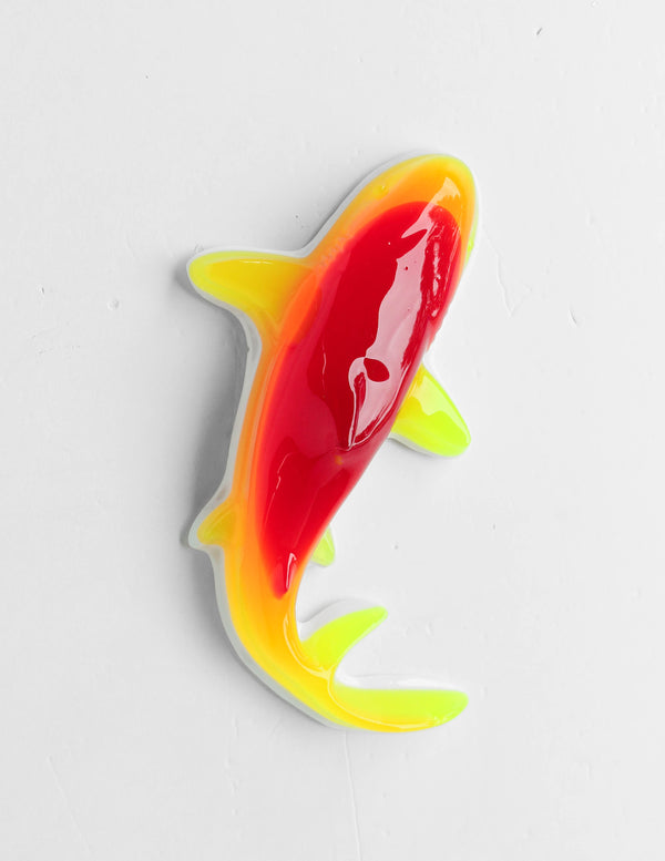 Gummy Shark in Rainbow Tropical (red, orange, yellow)