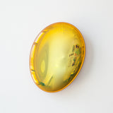 Portal Yellow