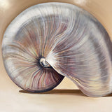 The Nautilus