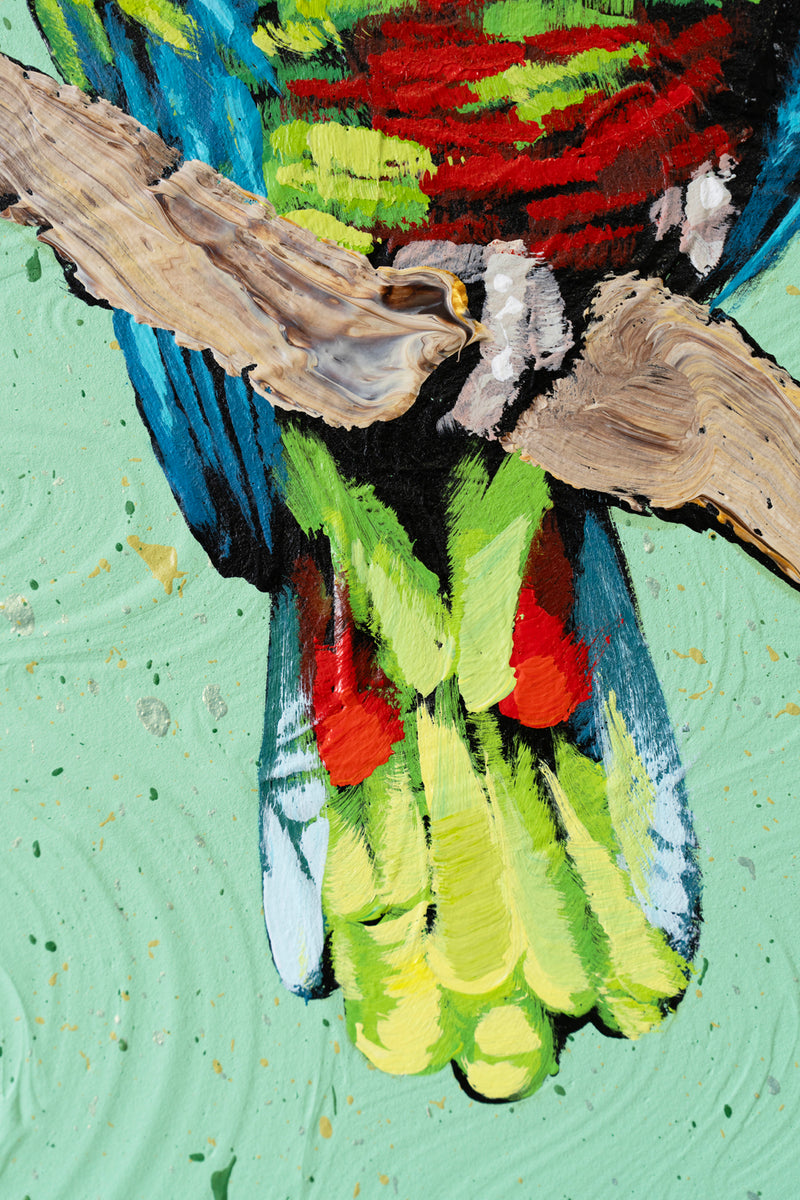 Cuban Amazon Parrot