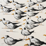 Diagonal Beach Birds