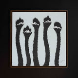 Five Shimmering Blue Ostrich