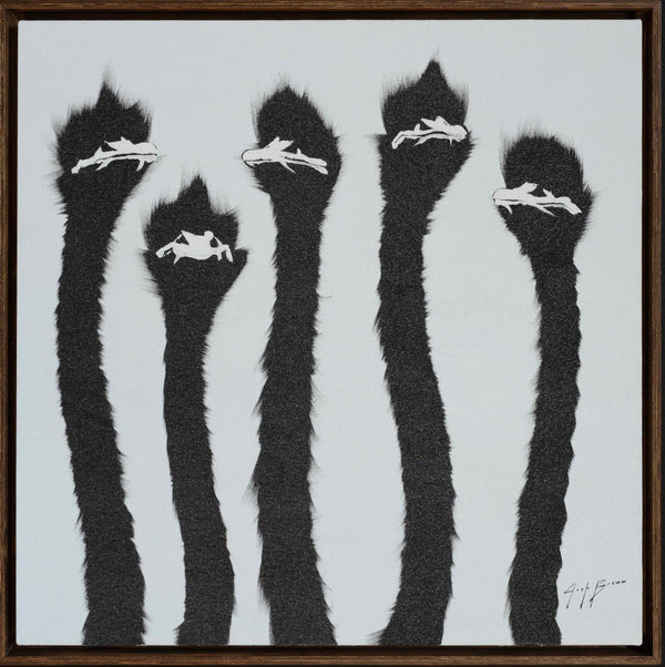 Five Shimmering Blue Ostrich