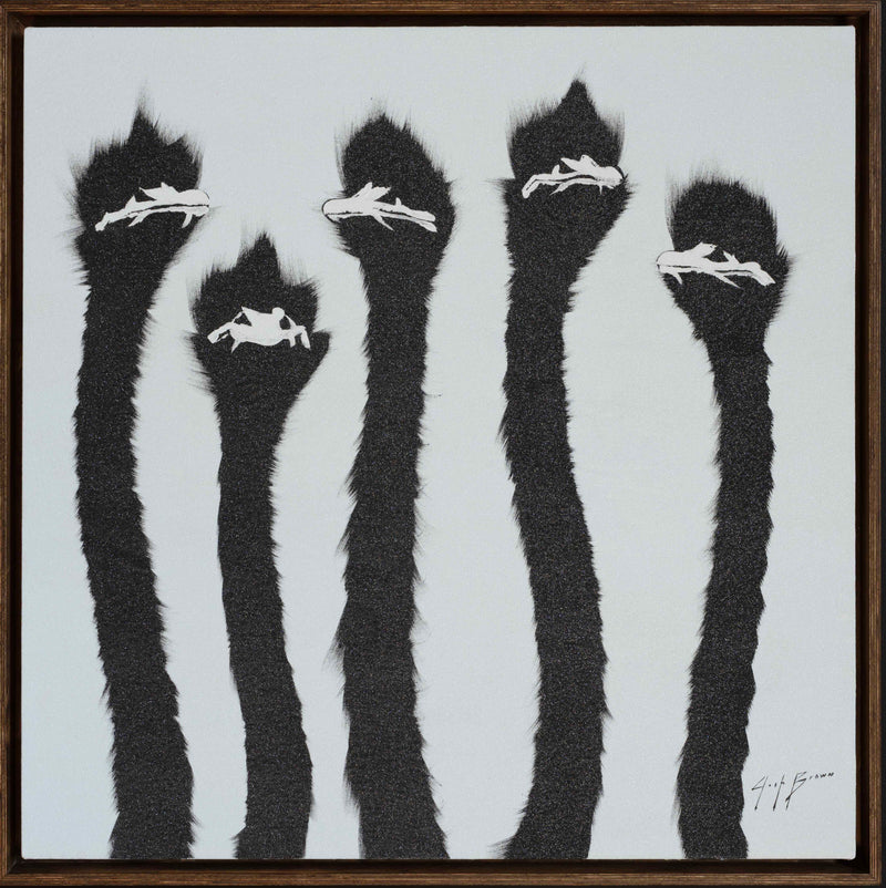 Five Shimmering Blue Ostrich