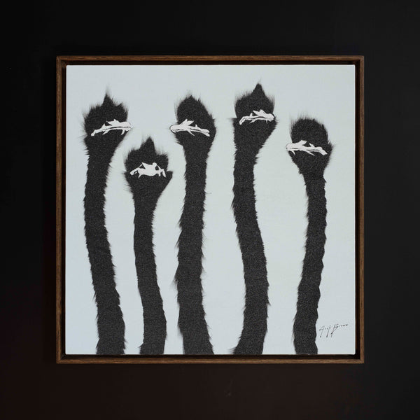 Five Shimmering Blue Ostrich
