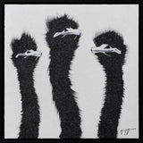 Three Sparkling White Ostrich